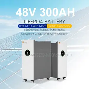 17.5kwh 48v Lithium Ion Felicity Battery With BMS