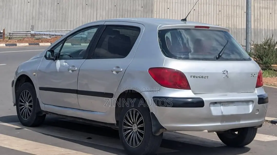 Peugeot 307 2005 Silver