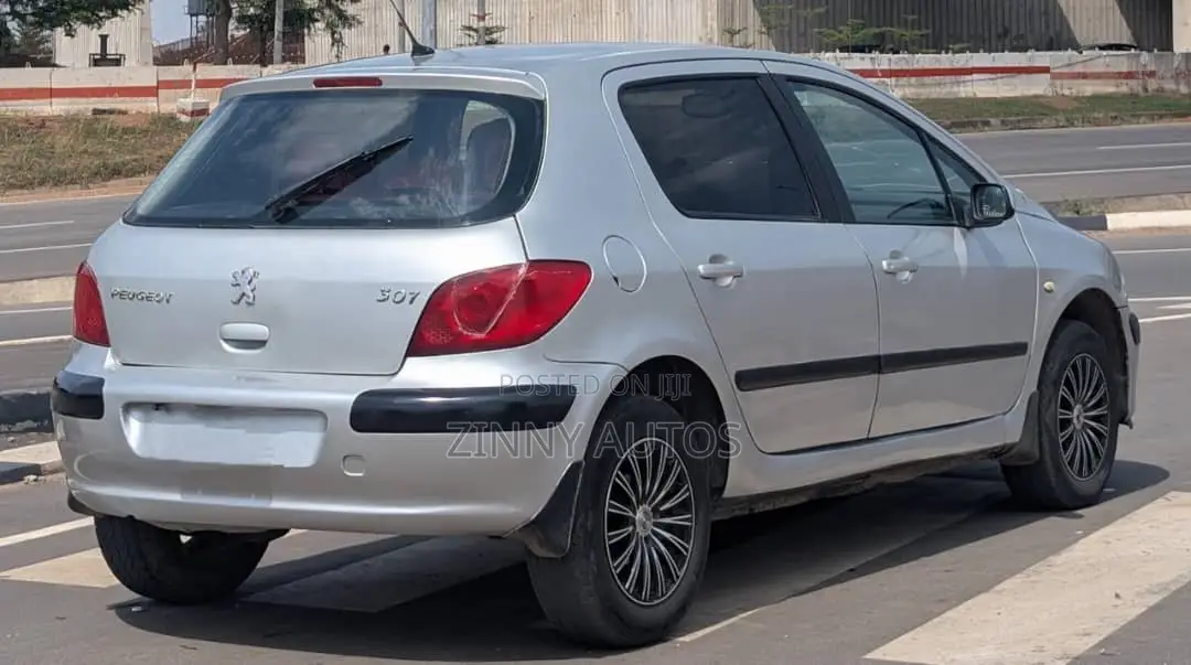 Peugeot 307 2005 Silver