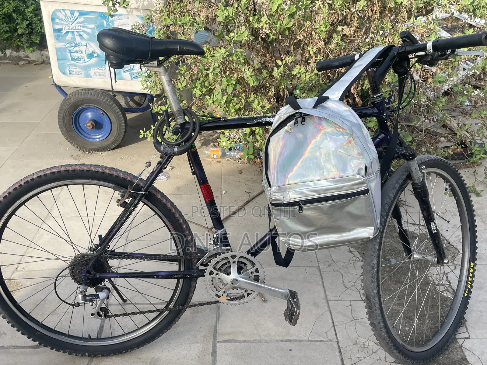 Mountain Bike