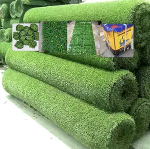 My Carpet Grass Is Greener Than Your Carpet Grass.
