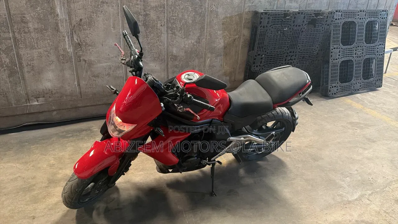 Kawasaki 2013 Red