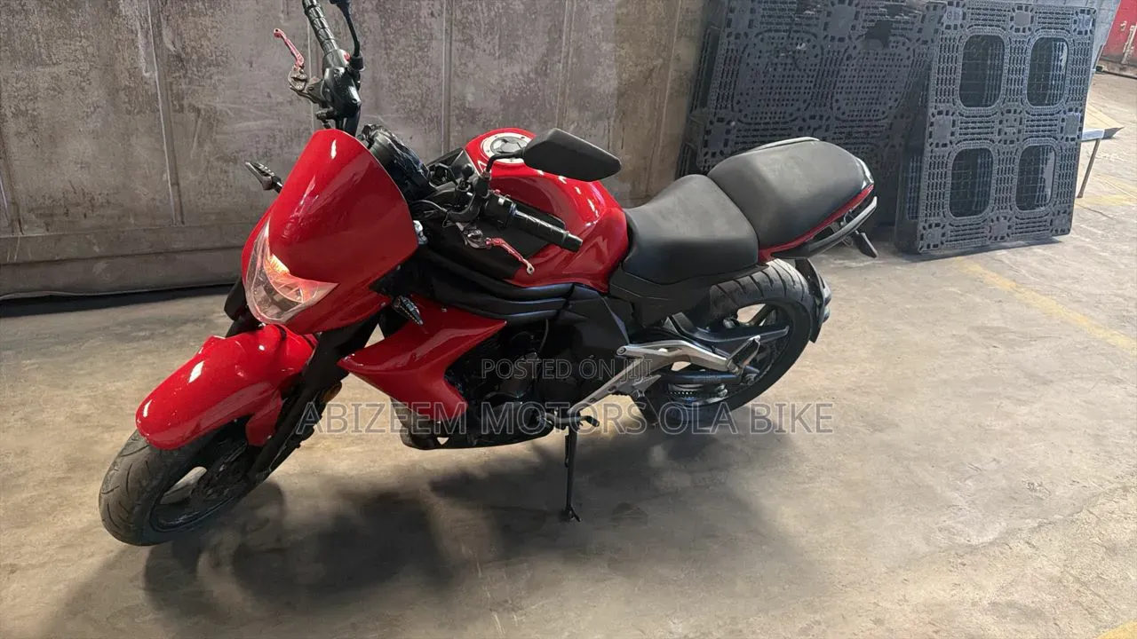 Kawasaki 2013 Red