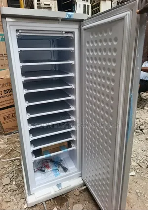 Original Bona Ac/Dc Ice Blocks Maker Solar Inverter Upright Freezer