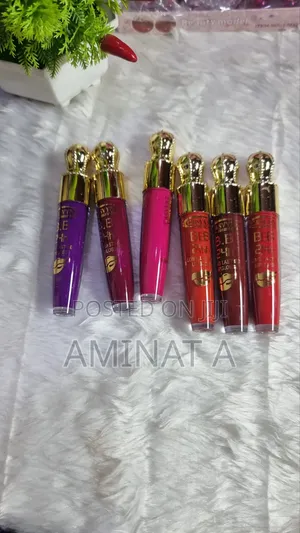24 Hours Waterproof Lipstick (Different Colors)