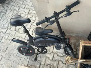 Electric Bicycle