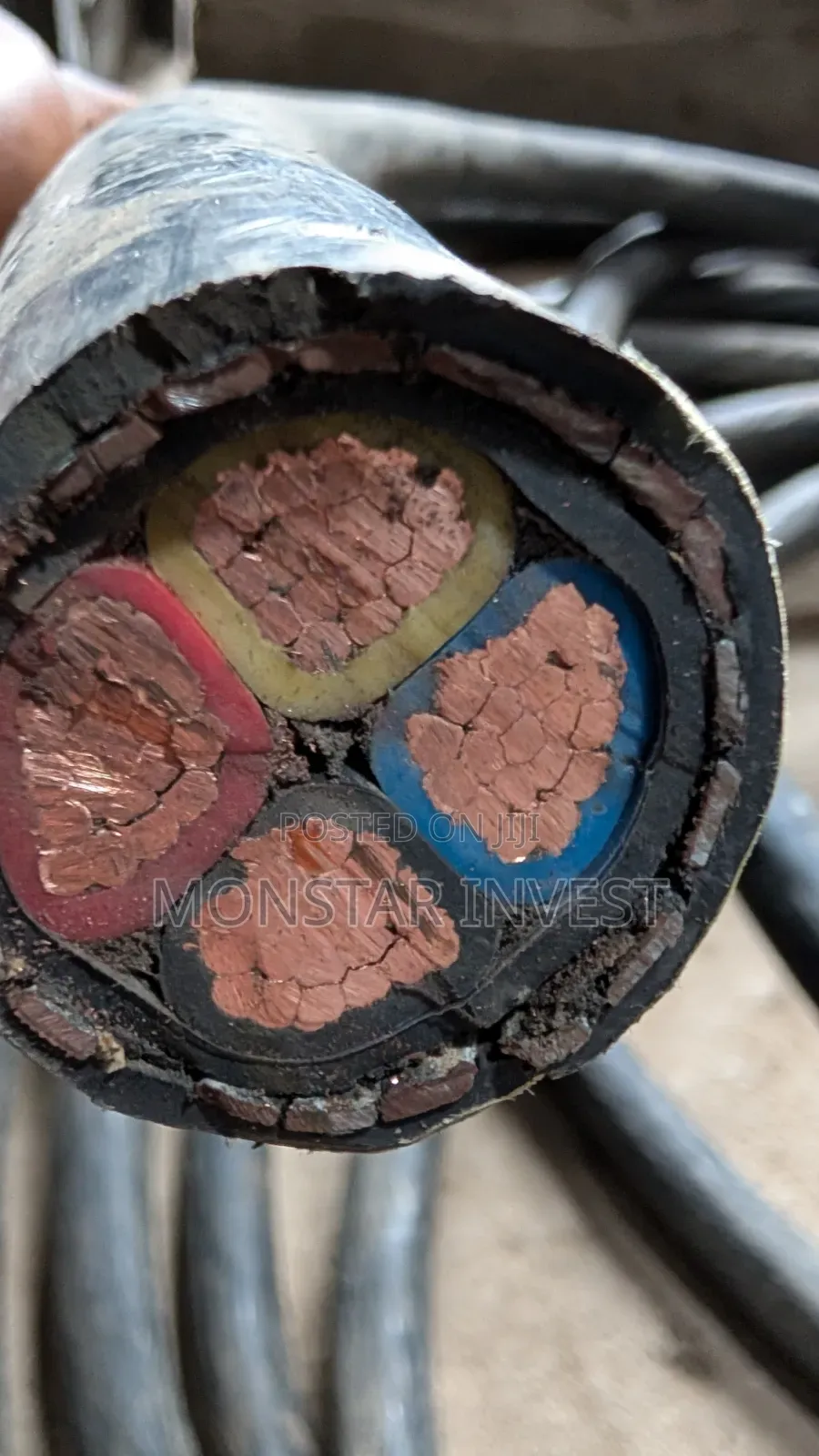 Armored Cable Niger Chin 185mm