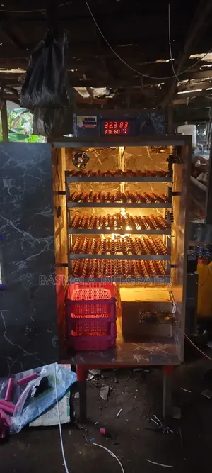 Fully Automatic Egg Incubator
