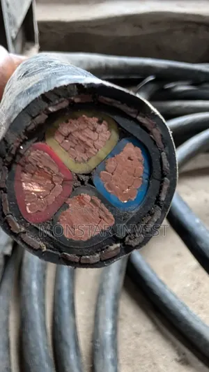Armored Cable Niger Chin
