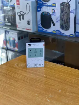 Wireless Lavalier Microphone