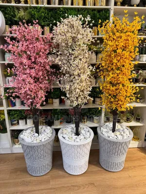 Flower and Pot