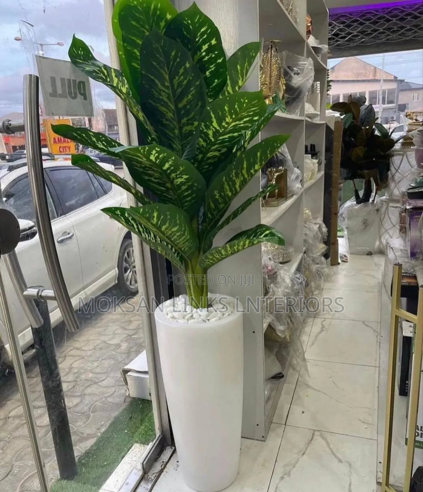 Flower and Pot