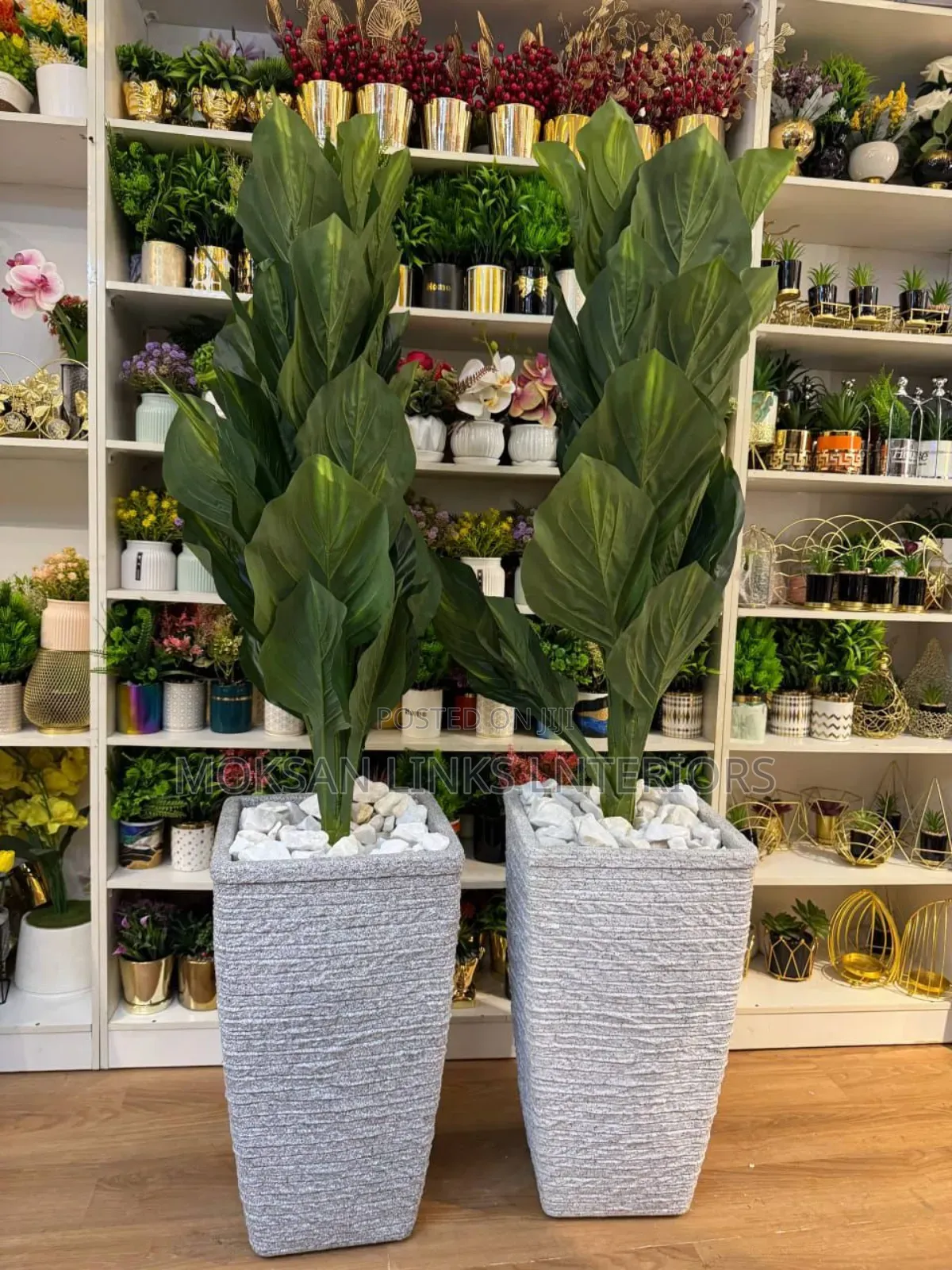 Flower and Pot