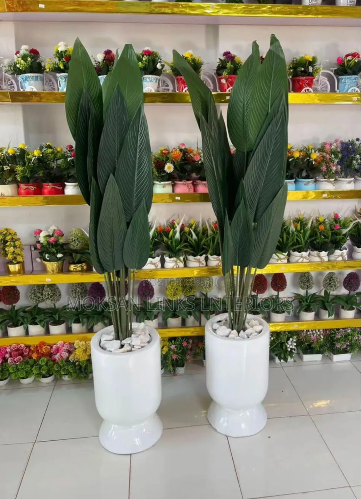 Flower and Pot