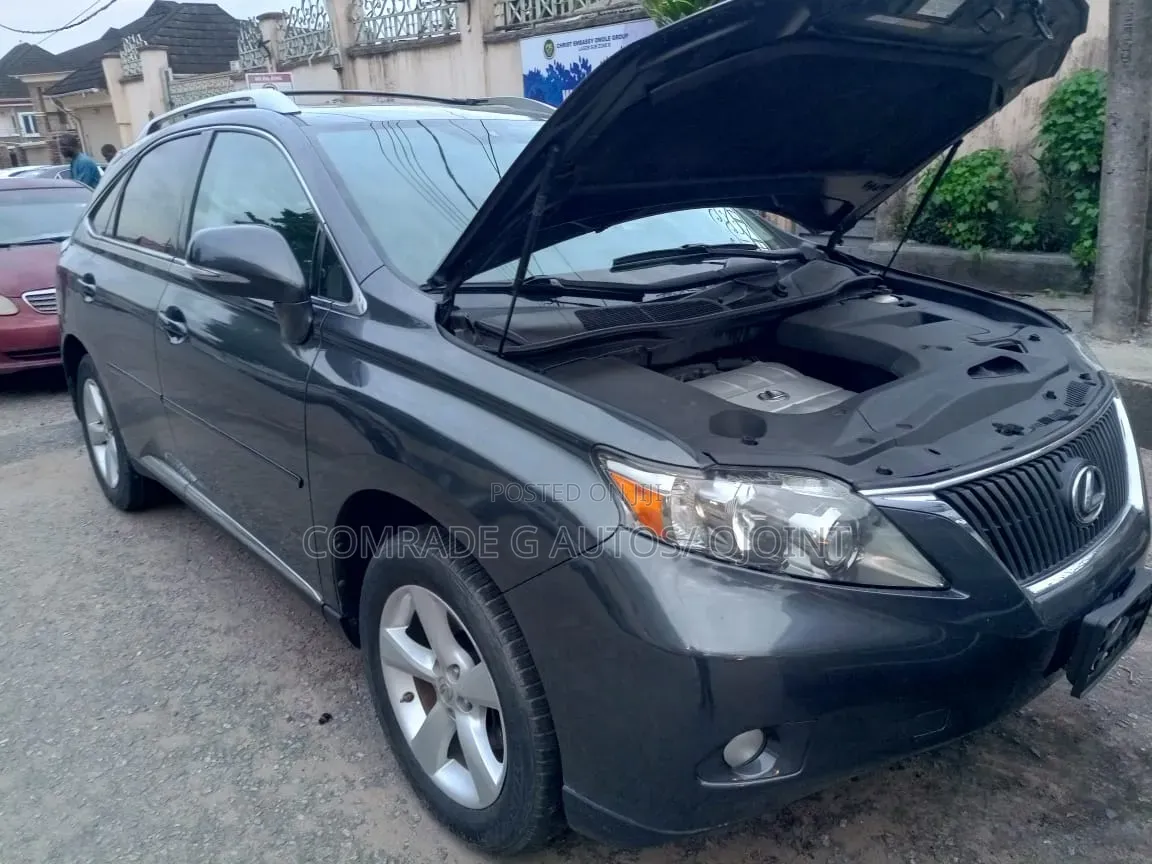 Lexus RX 350 2010 Gray