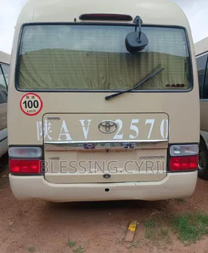 Toyota Coaster 2010 Brown