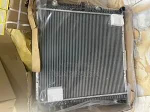 Mercedes-Benz G-Class W463 Radiator A
