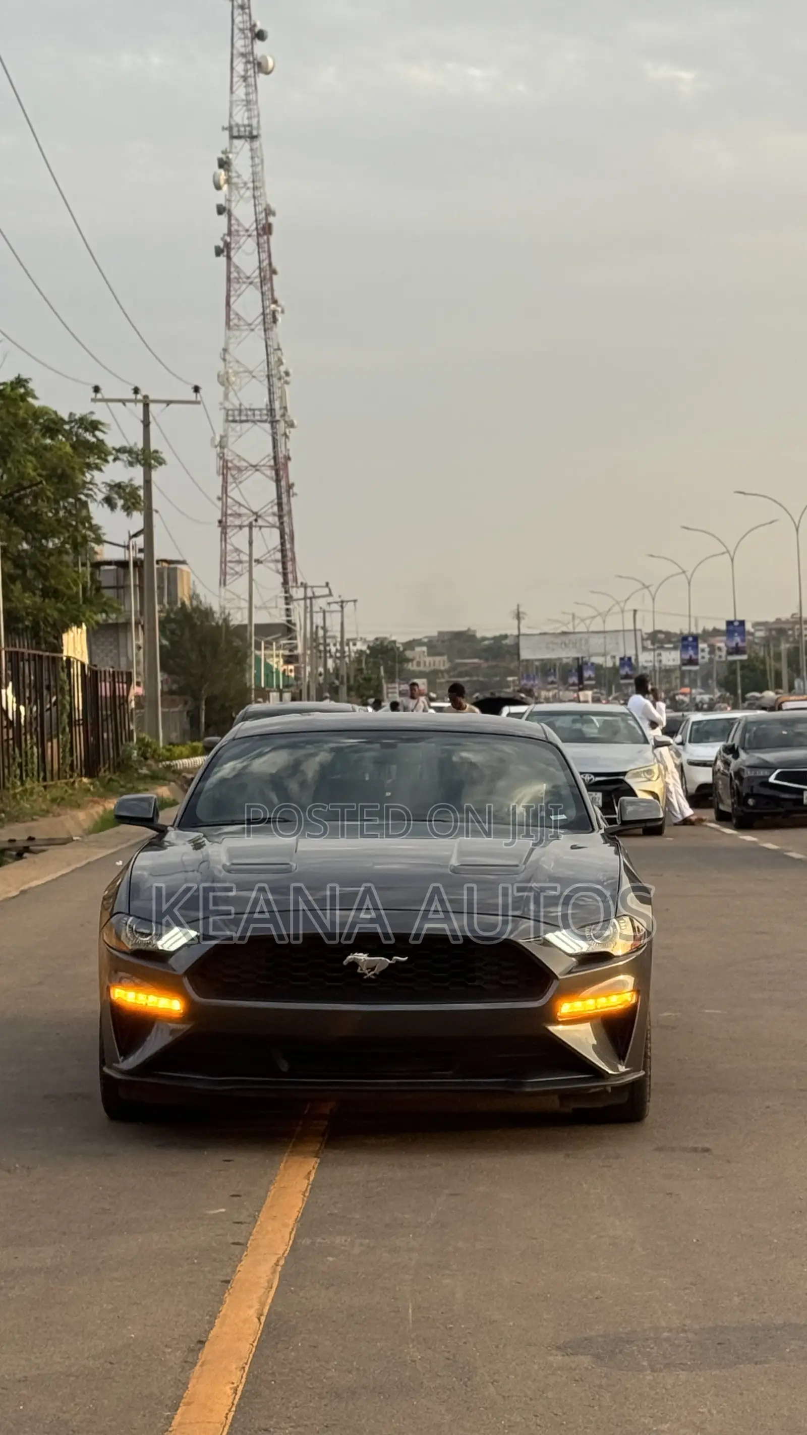 Ford Mustang 2019 Gray