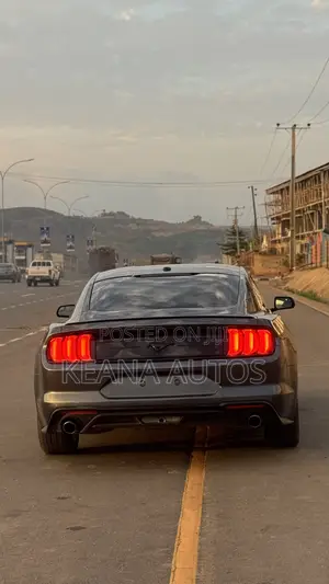 Ford Mustang 2019 Gray