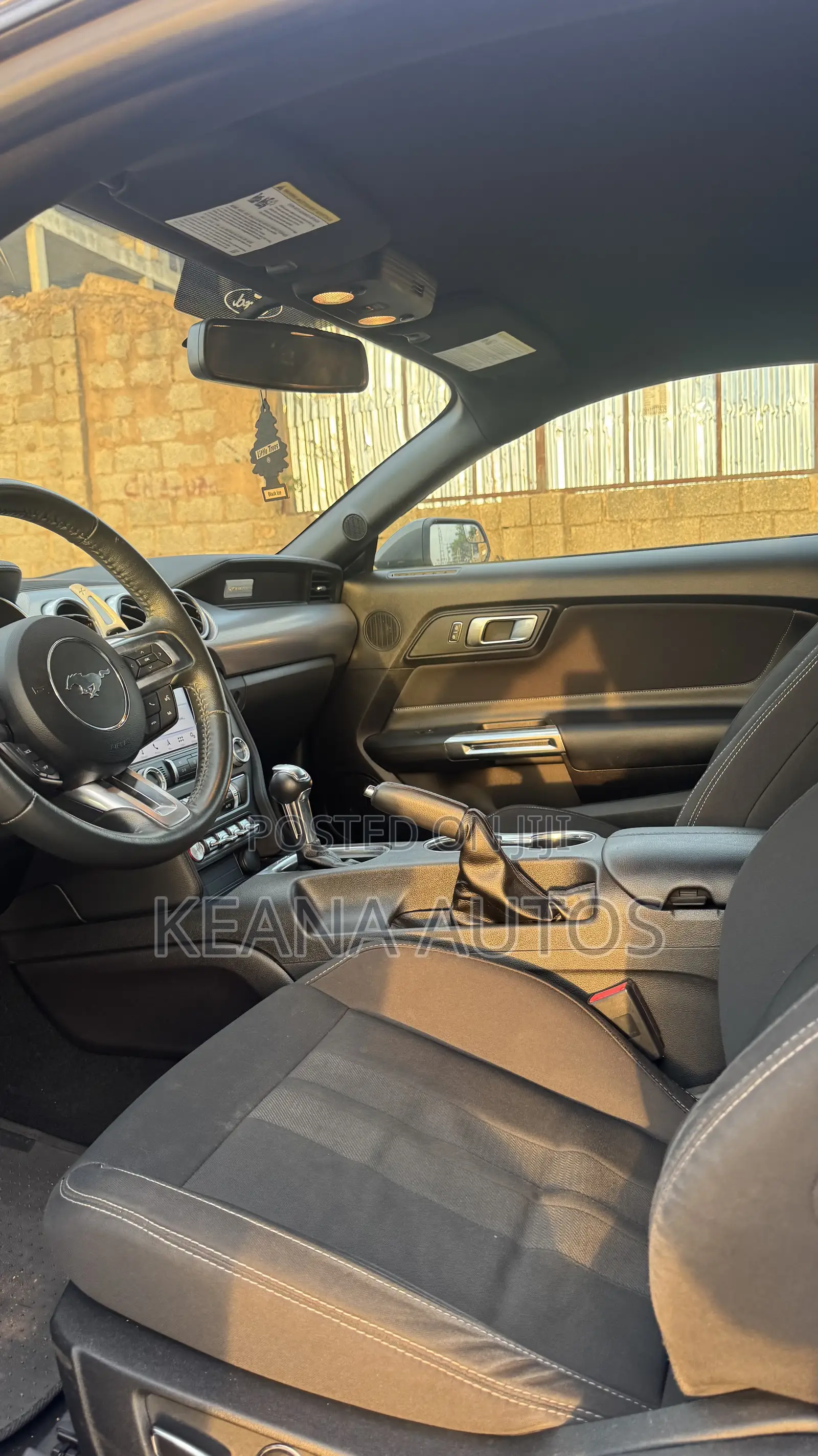 Ford Mustang 2019 Gray