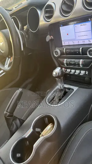 Ford Mustang 2019 Gray
