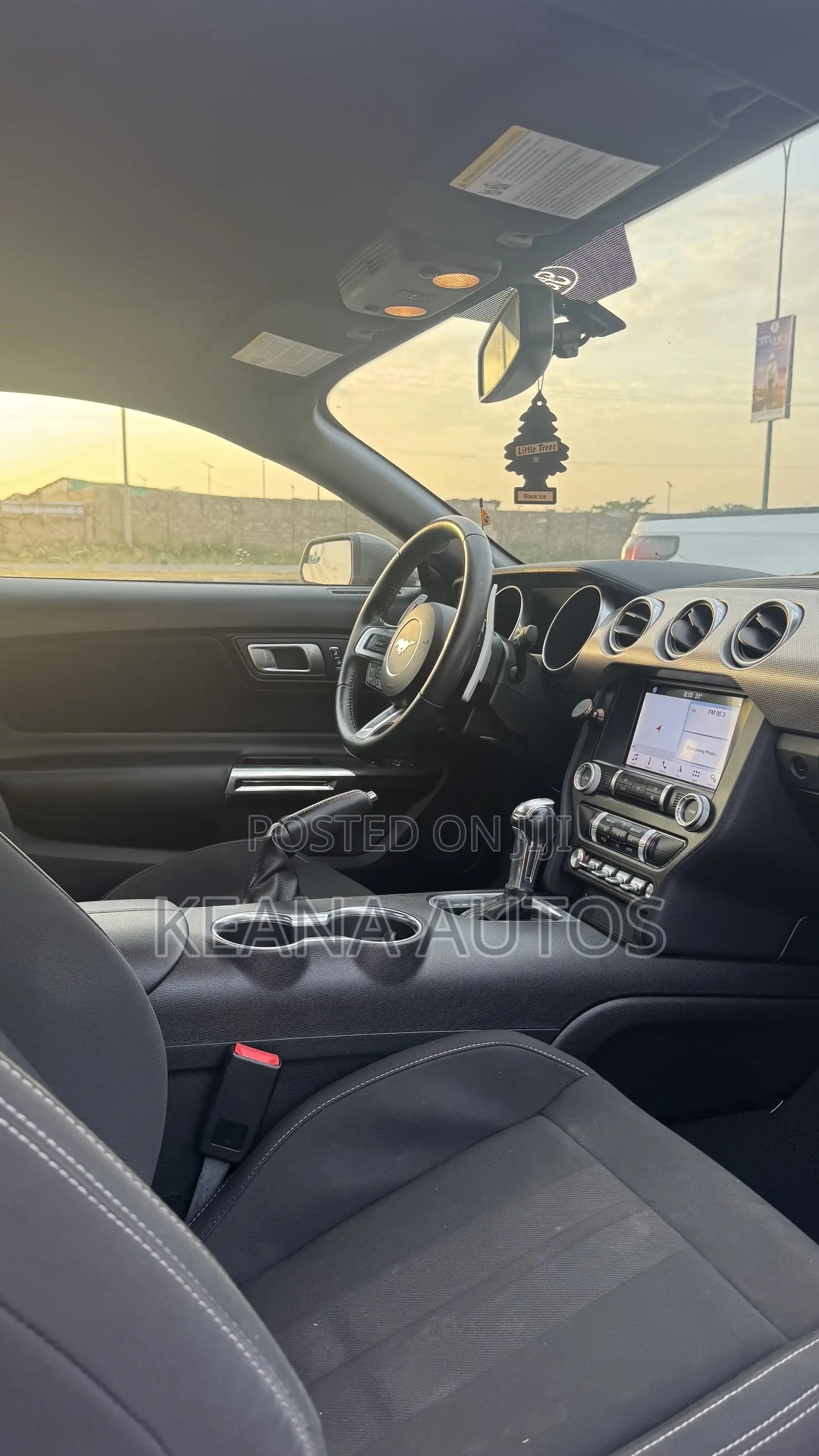 Ford Mustang 2019 Gray