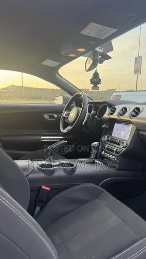 Ford Mustang 2019 Gray