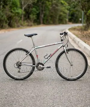 Bicycle Medium Size For Adult Grown Children