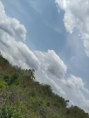 30 Acres of Farmland for Sale at Ijegun Village, Iseyin Ibadan Road