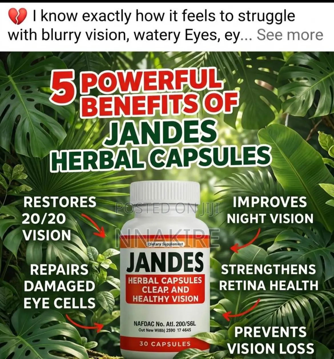 Jandes Herbal Capsule (Clearer Vision)