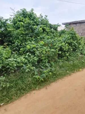 1 Plot of Land for Sale at Akufo in Ibadan.Very Close to Akufo-Ido Rd.