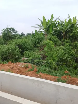 4 Plots of Land for Sale at Akufo,Apete Road , Ibadan.