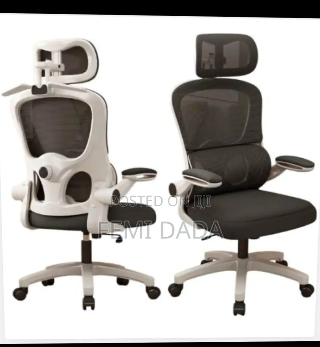 Ergonomic Chair