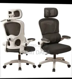 Ergonomic Chair