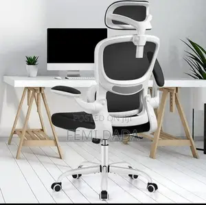Ergonomic Chair
