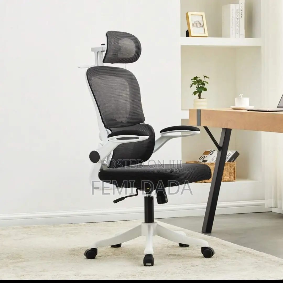 Ergonomic Chair