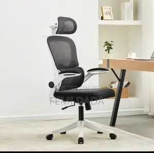 Ergonomic Chair
