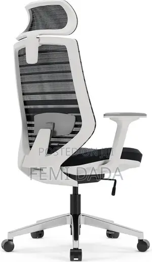 Ergonomic Chair