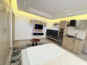 Furnished 1bdrm Apartment in Garki 2 for rent