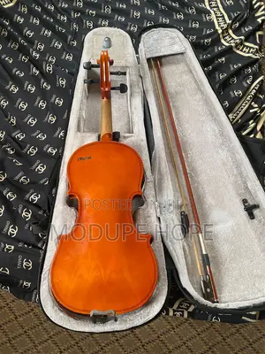 Violin With Case
