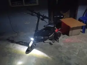 Electric Bicycle