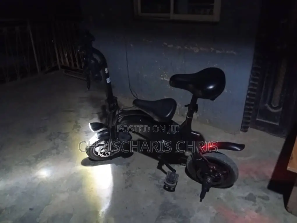 Electric Bicycle