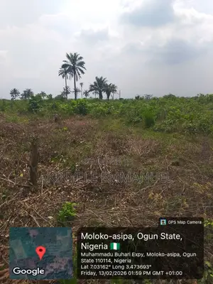 2 Acre Farm Land for Sale at Kobape, Ogun