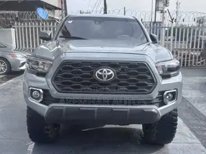 Toyota Tacoma TRD Off Road 2019 Gray