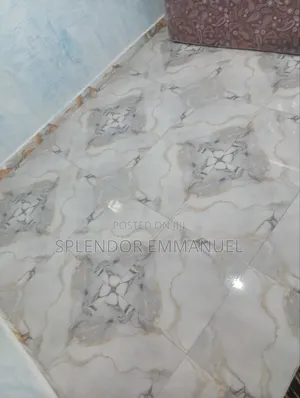 Cleaning Services