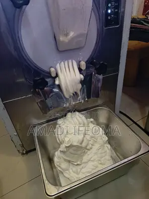 Hard Batch Ice Cream Machine