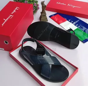 Ferragamo Shoes