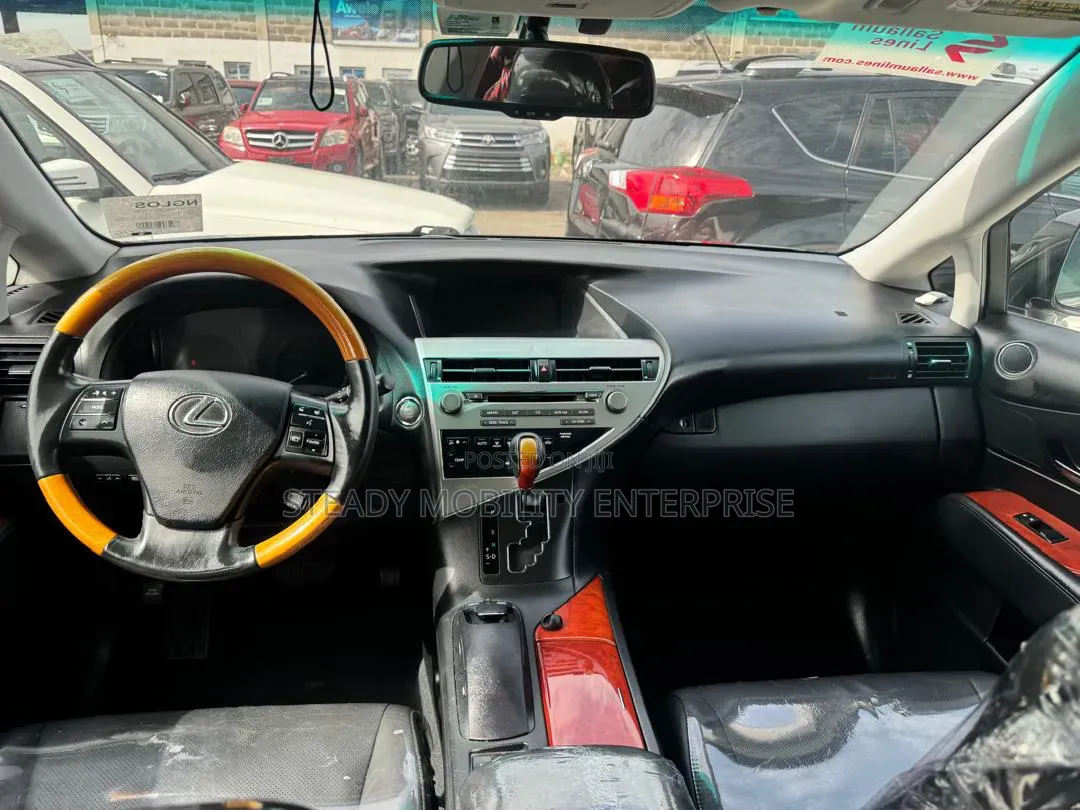 Lexus RX 350 2010 Gray