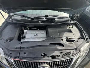 Lexus RX 350 2010 Gray