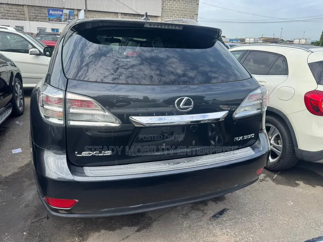 Lexus RX 350 2010 Gray